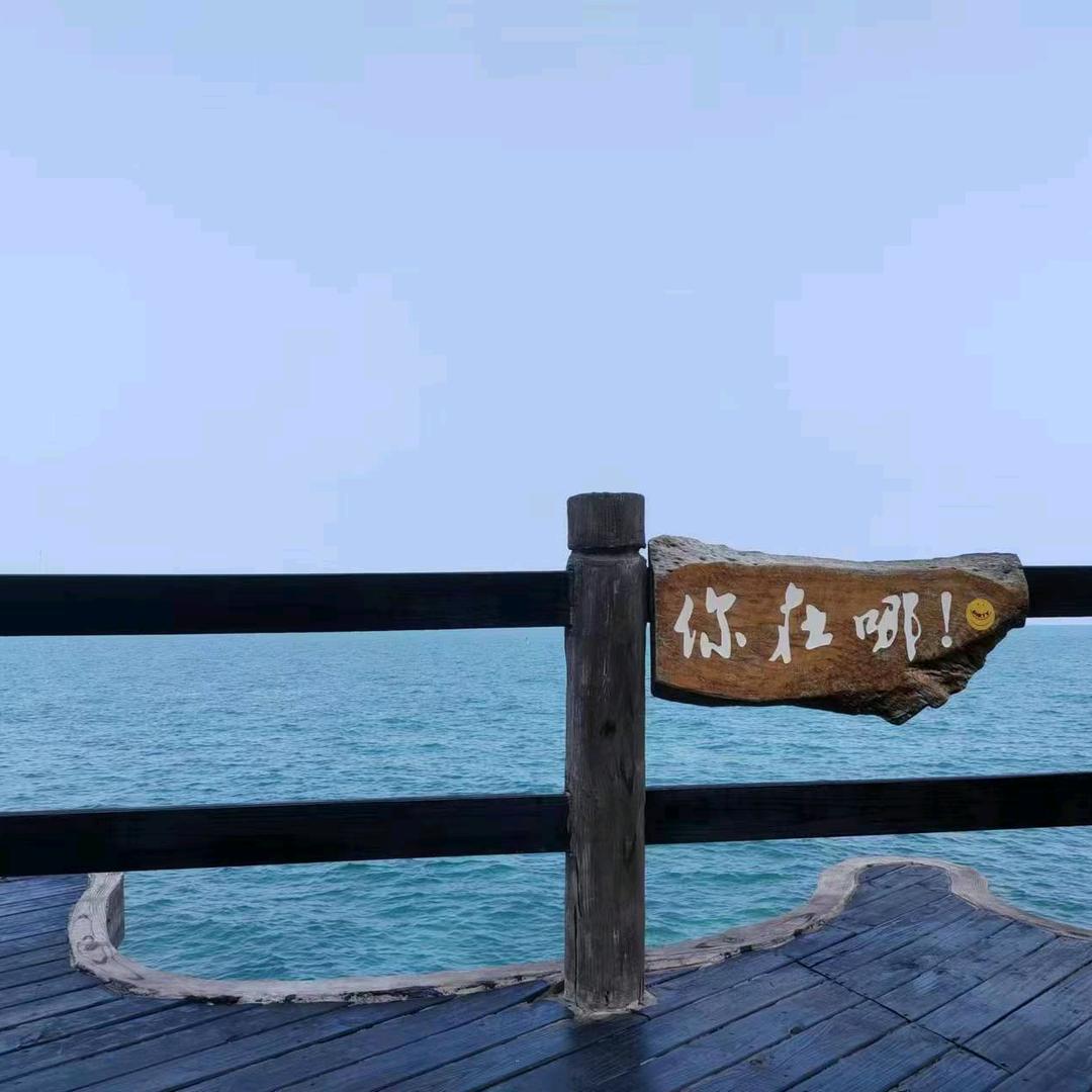 欢歌