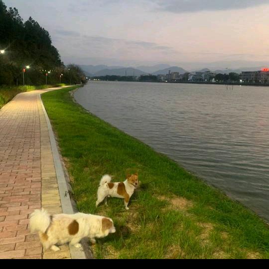 华_