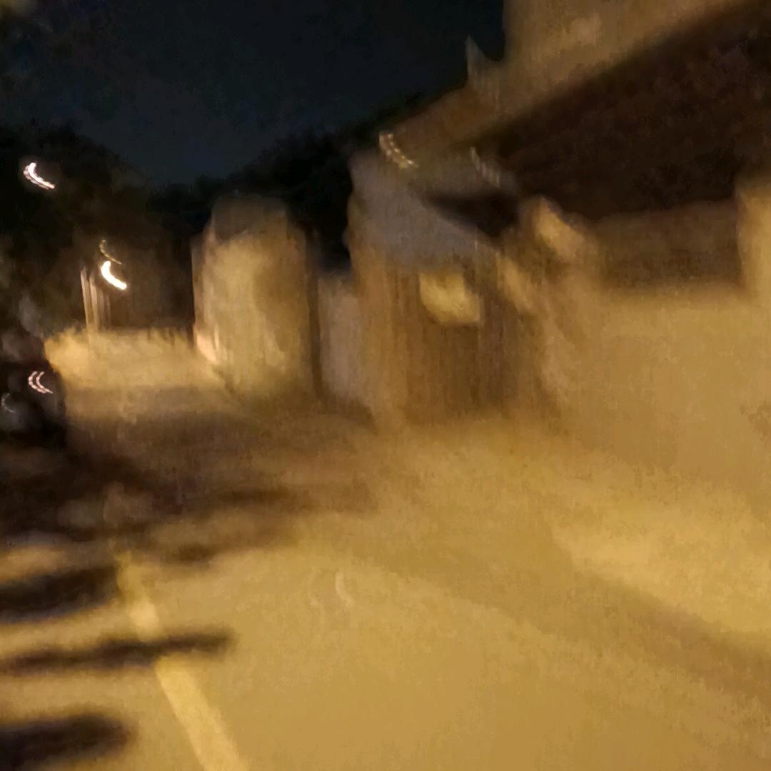 想家的人