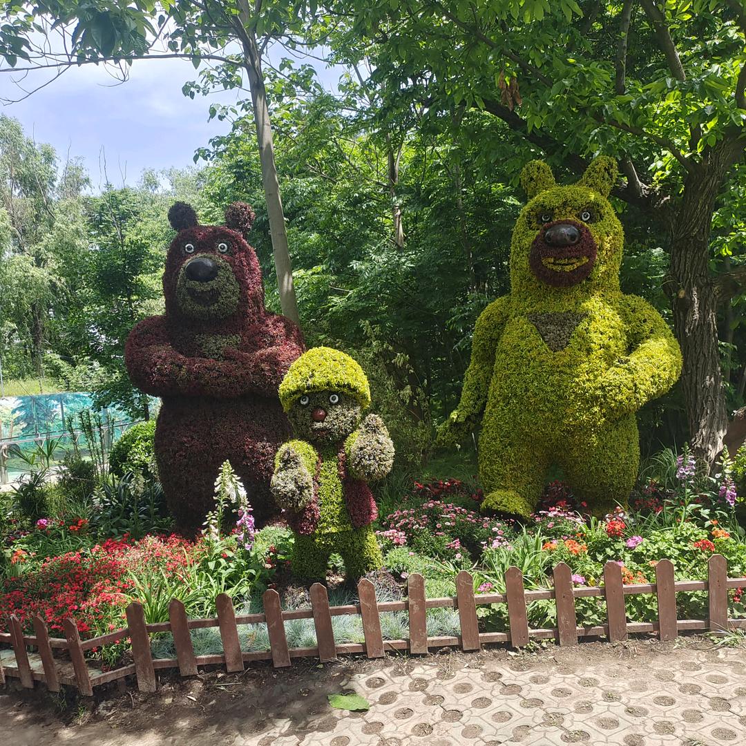 开心果（曹）