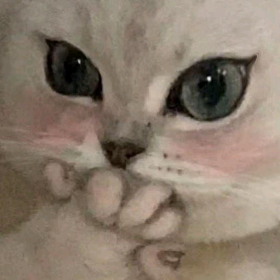 H爱吃鱼的小猫