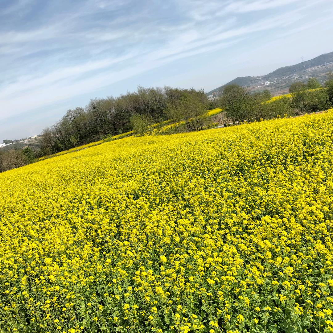 爱的天使👼🏻👼🏻👼🏻👼🏻