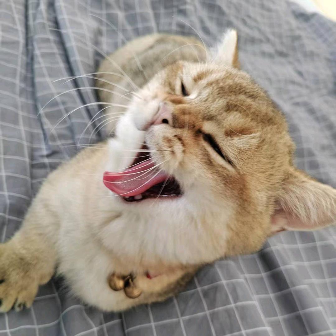 炏