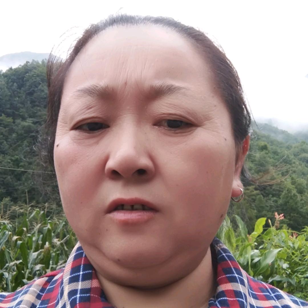 菊花姐