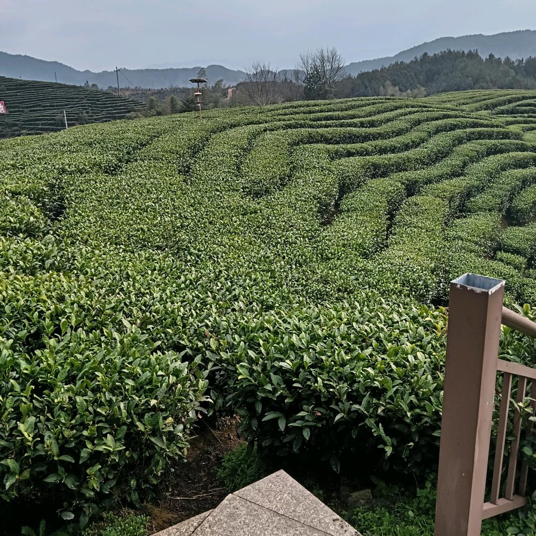 幸福的缘分