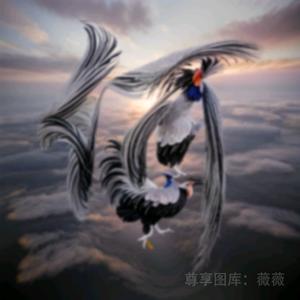 何亚