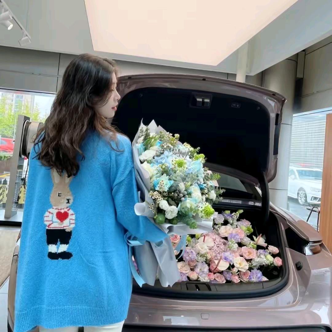 澜梦拍车