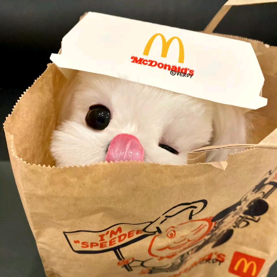 摆烂咸鱼🐟