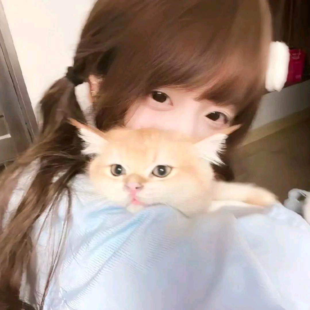 风语杰行