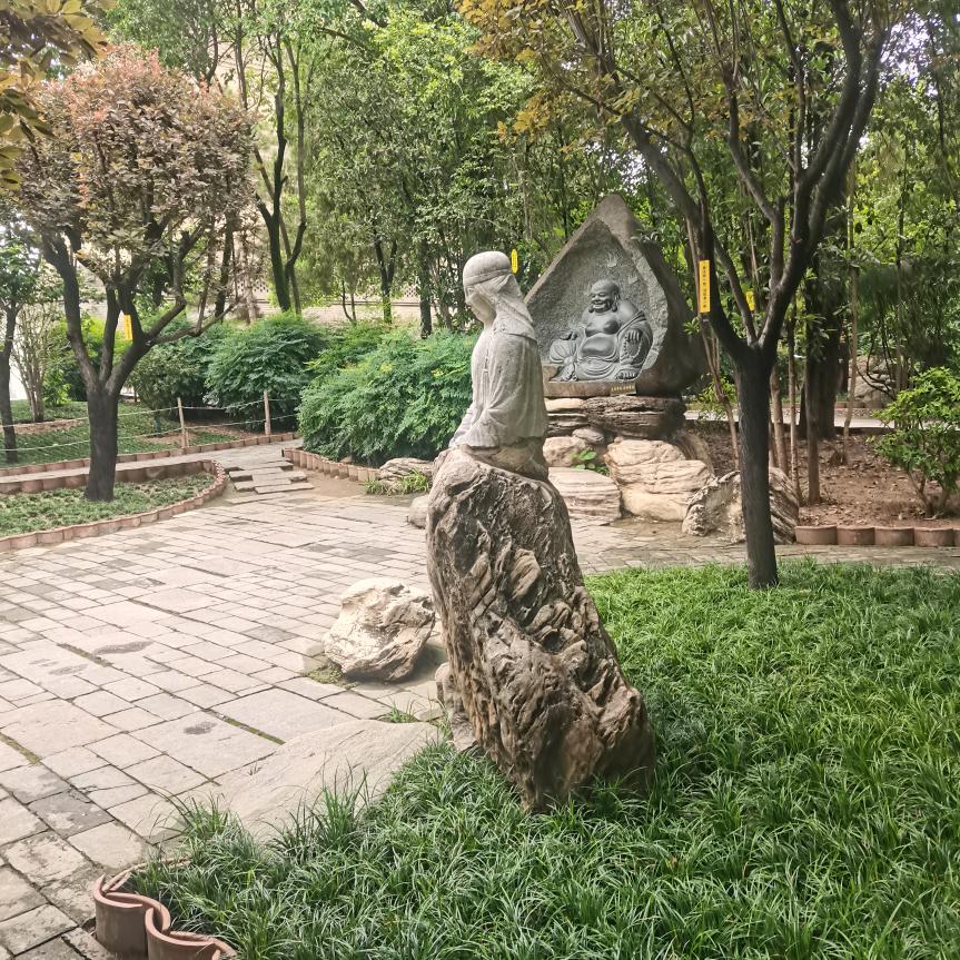 🌹阳光