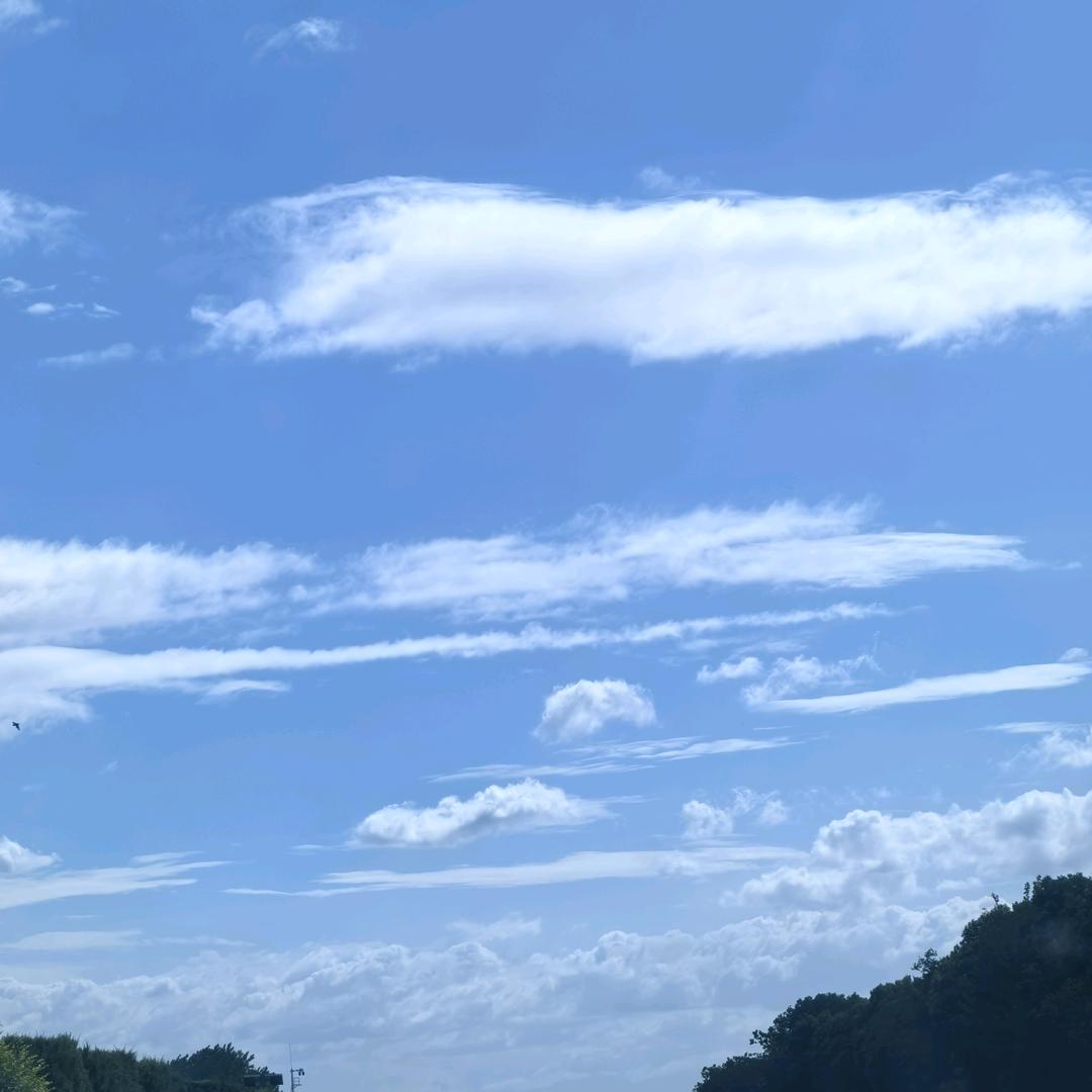 秒回秒回