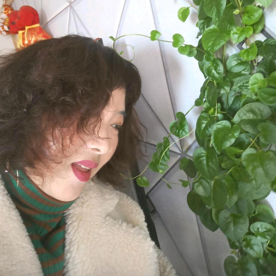无忧草