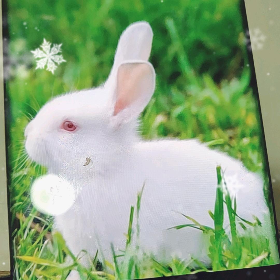 知足女人陶老师