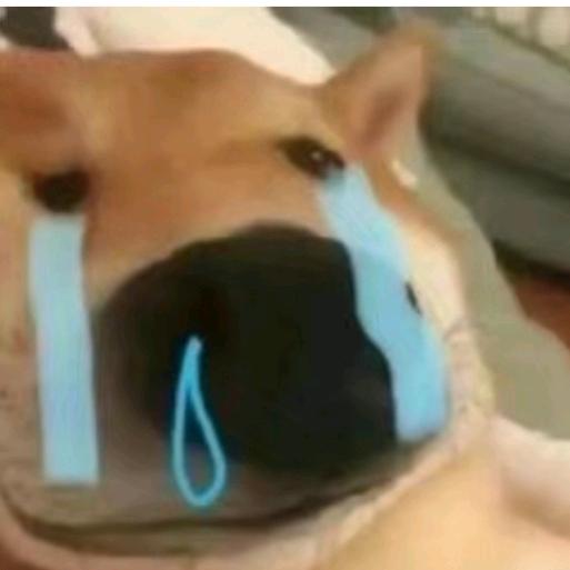 阿强（甲流版）