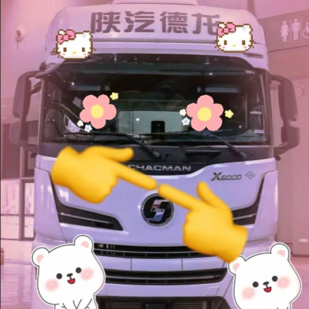 AAA陕汽德龙杨师傅（全险，只跑国道）