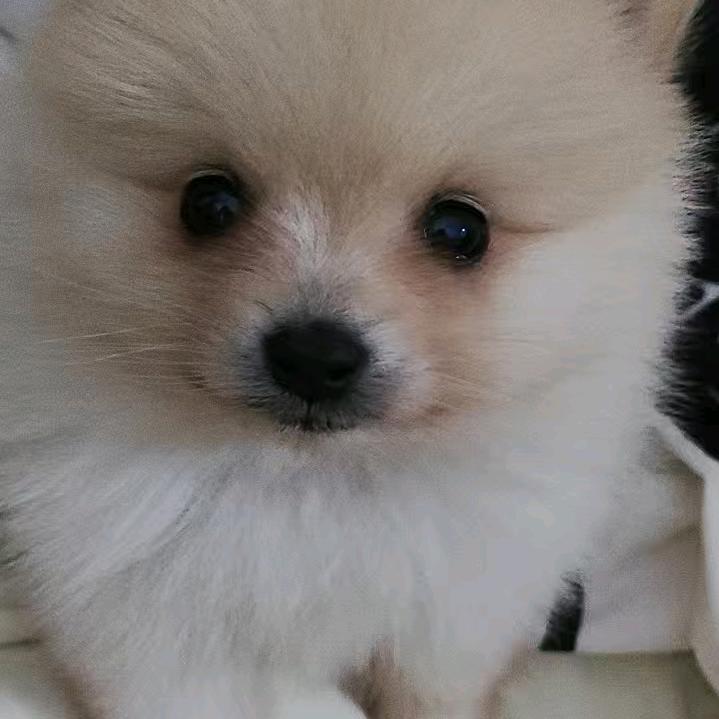 ༊ღ᭄宠着你꧔ꦿ᭄