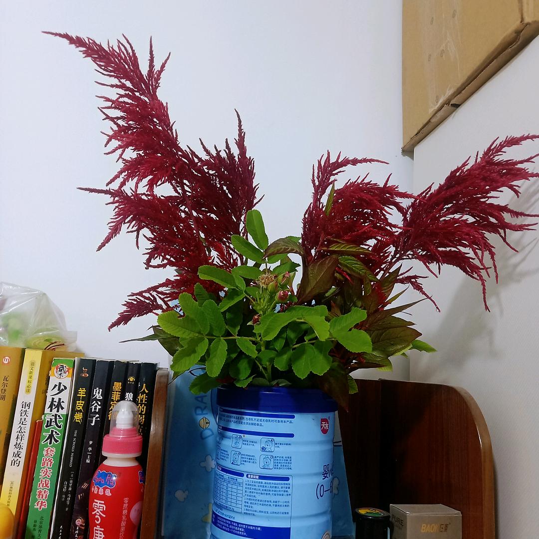 冰葫芦娃