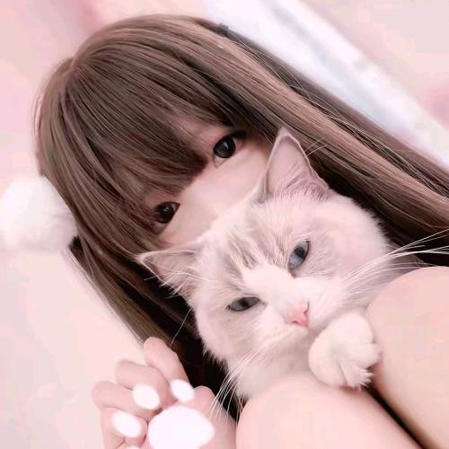 猫罚
