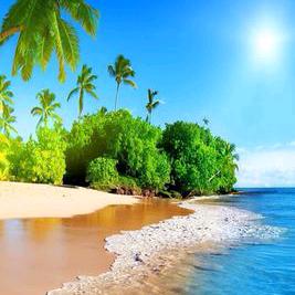 舒香缘饭店（茉莉）