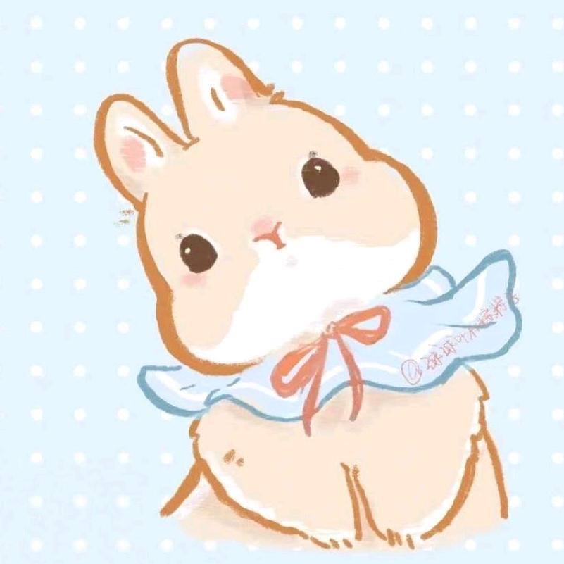 猪兔兔