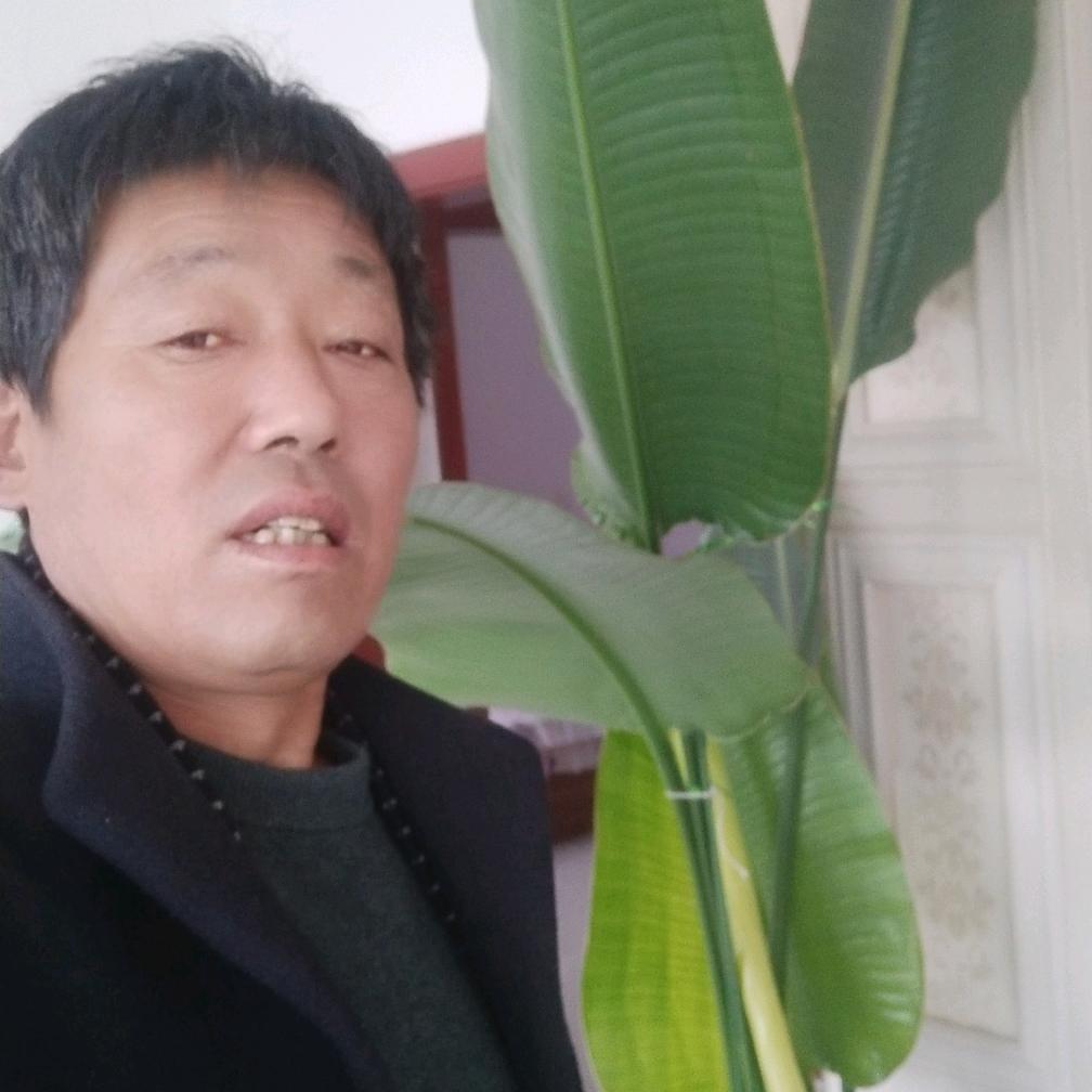 专业销售水泥