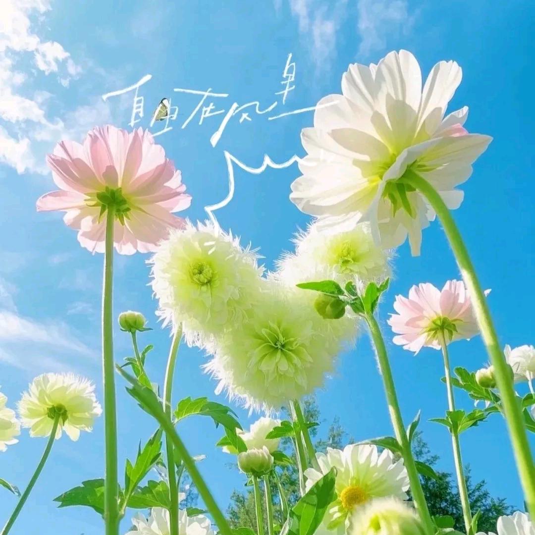 💗᭄余生ᝰᩚ随心ꦿ໌ᮨ💕