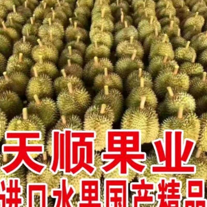 临沂天顺果业