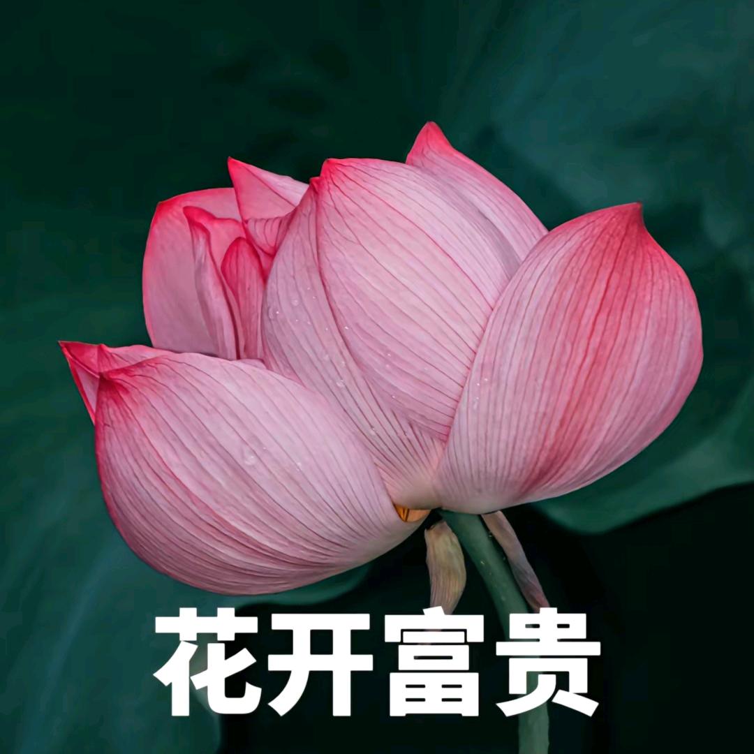 1天干8顿饭