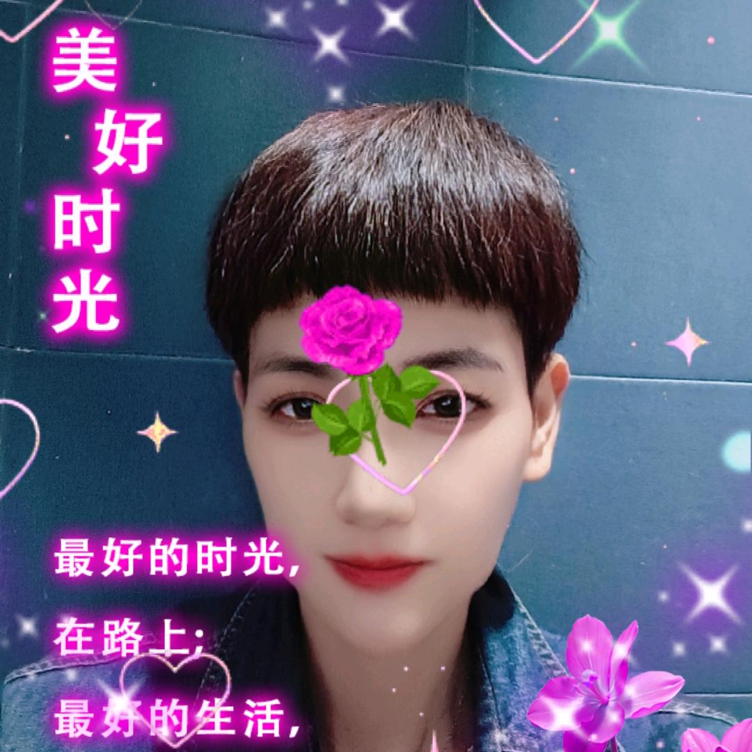 玉兔迎春