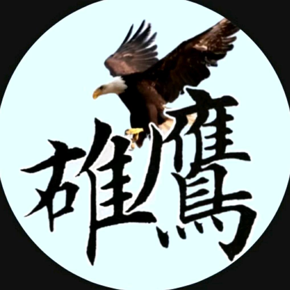 雄鹰