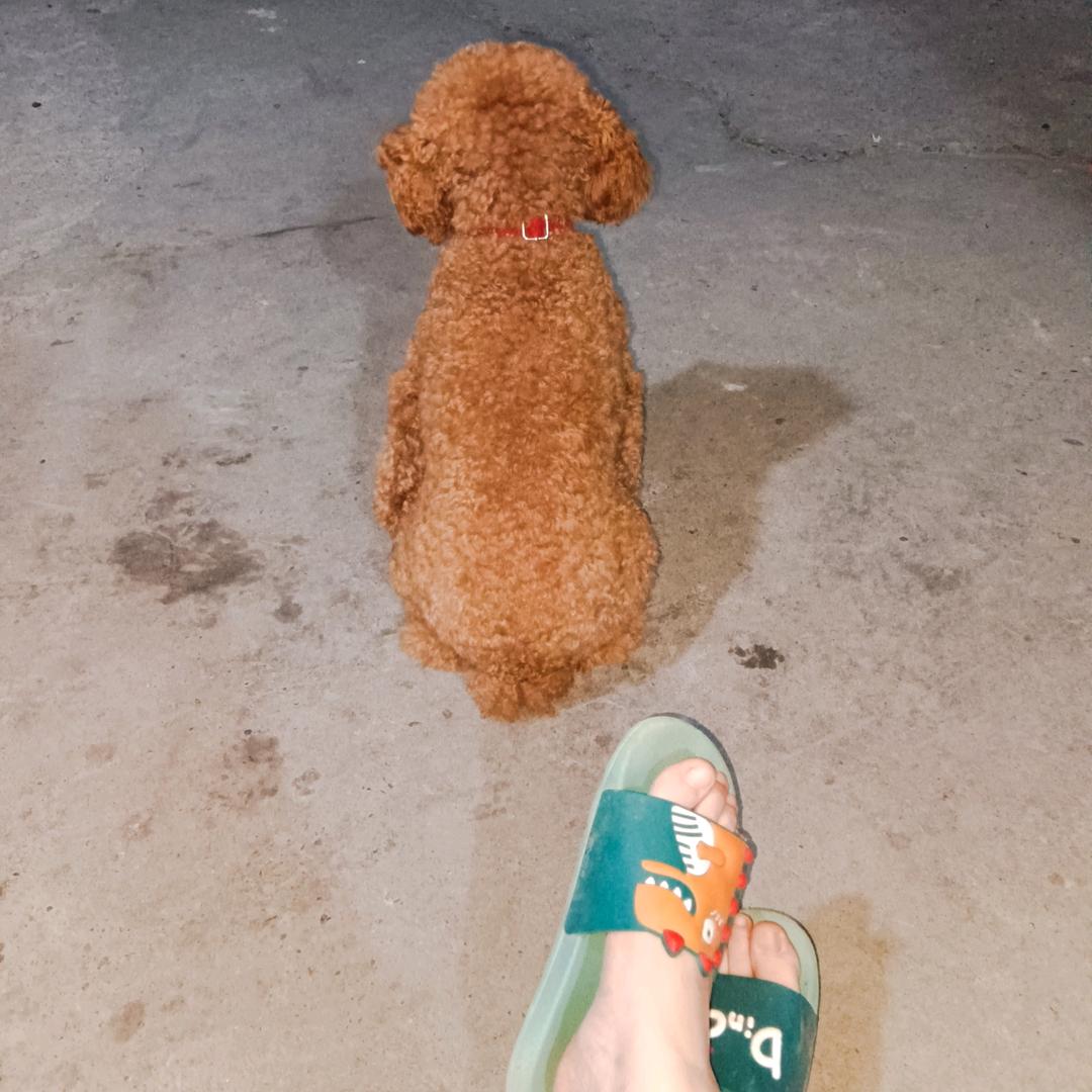 汪得否