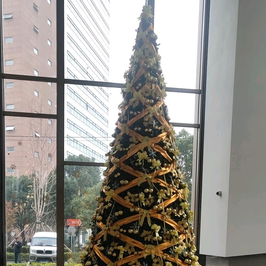 放飞自我的鱼儿