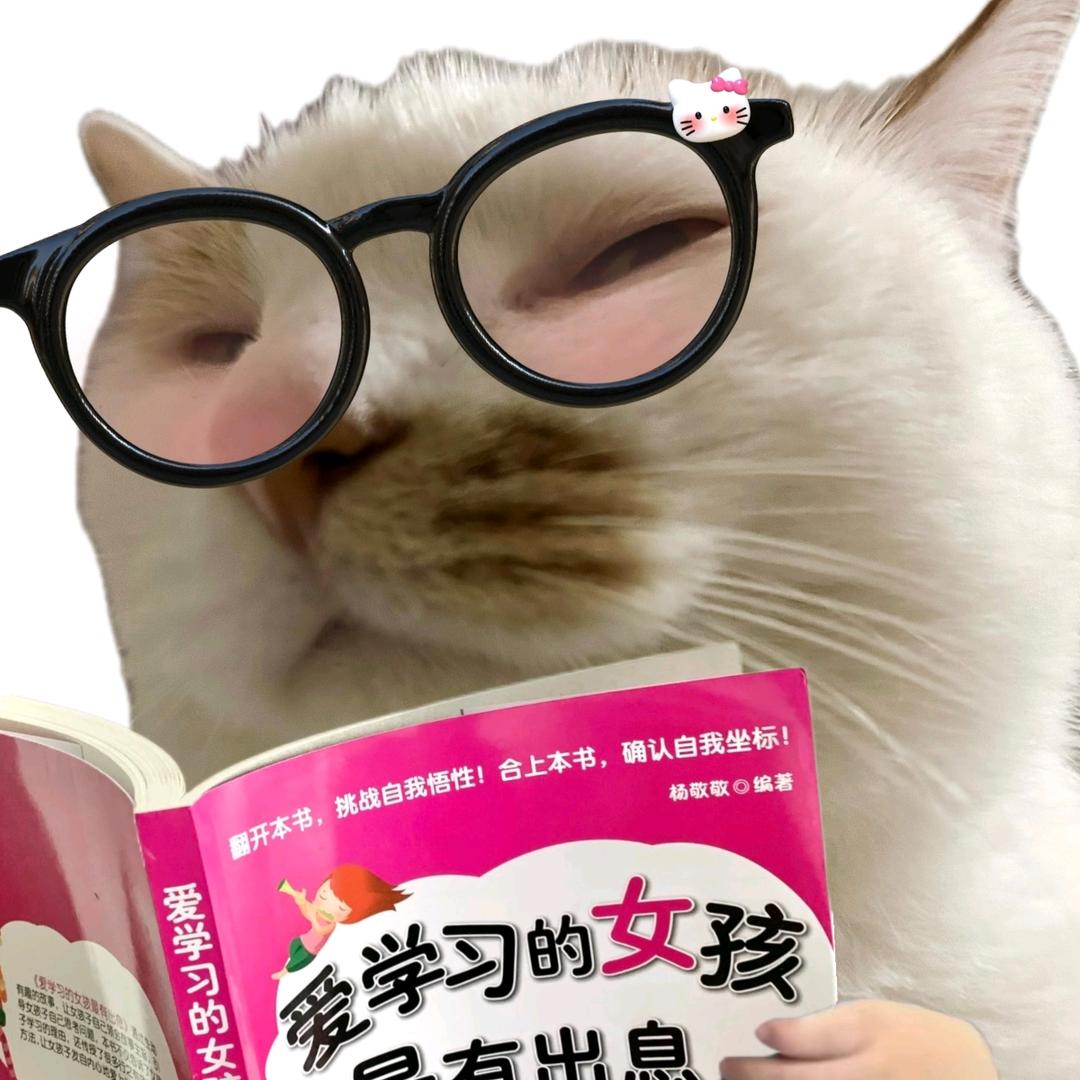 ㅤ关你西红柿啊