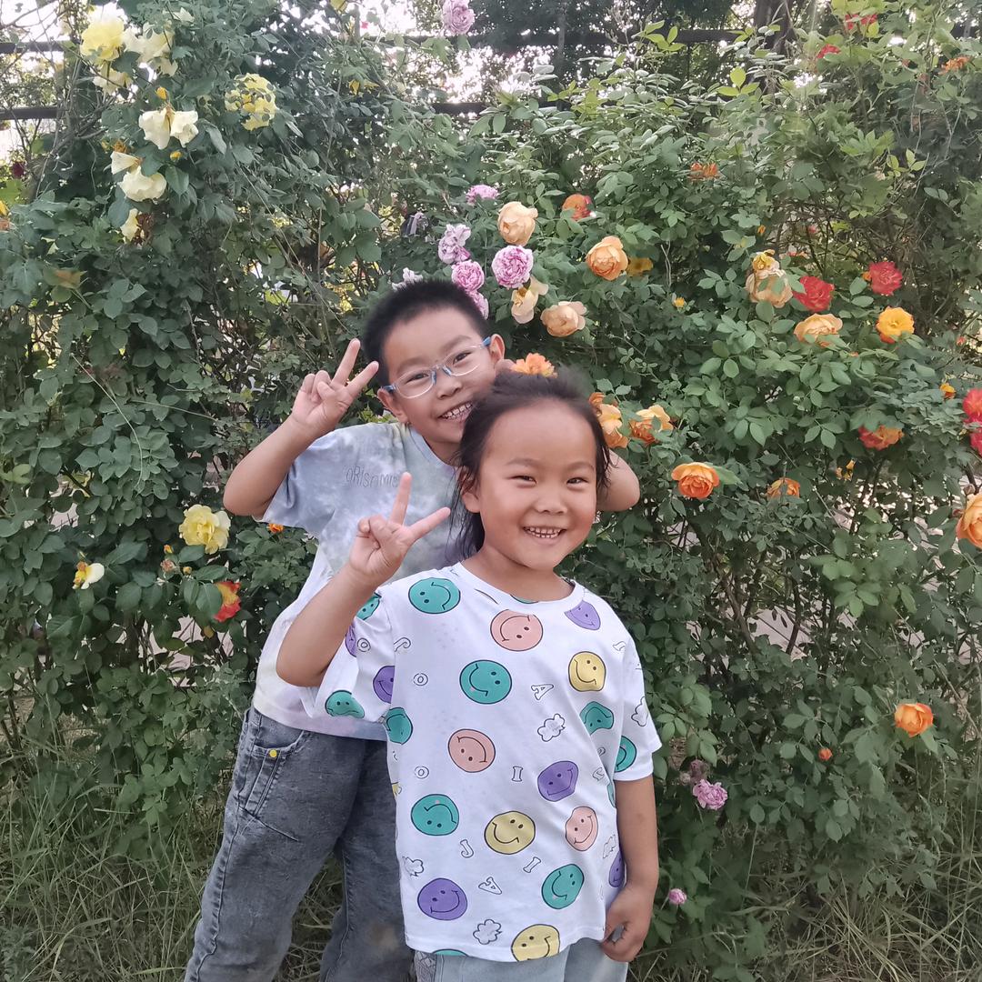 慕杨人