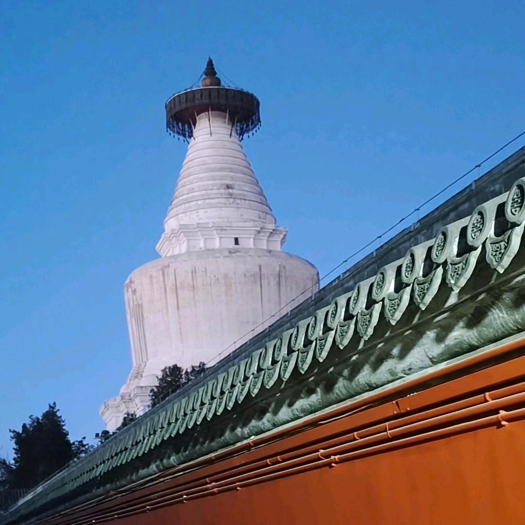 爰情陈哥