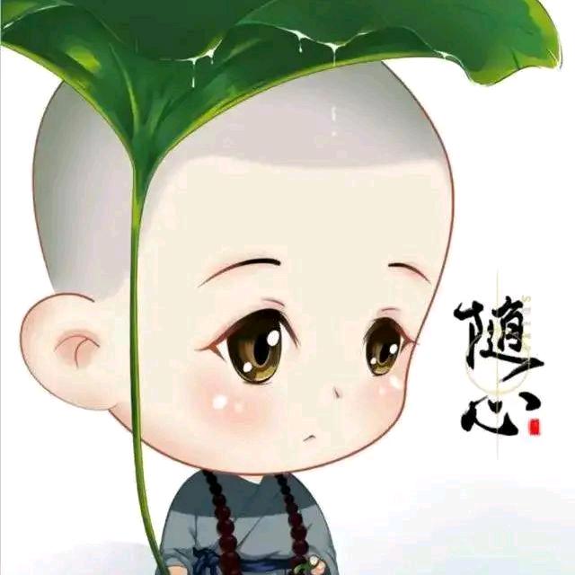 零度%༼｡＾･ｪ･＾｡༽