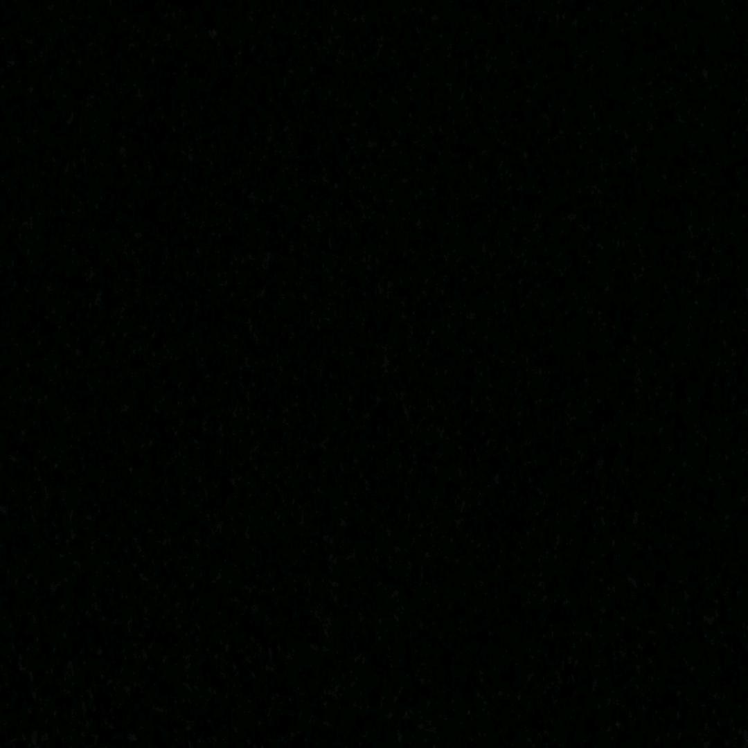 余辞