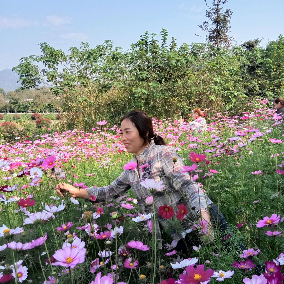 笑笑姐（才艺主播）