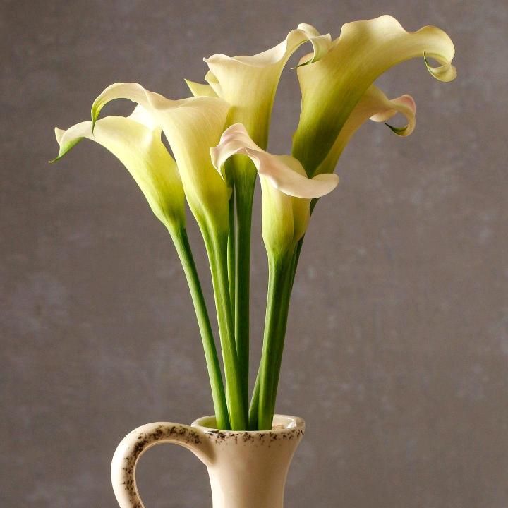 维慕家居全屋定制