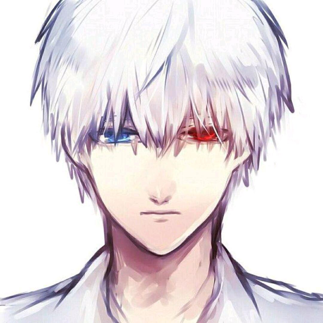 布ki