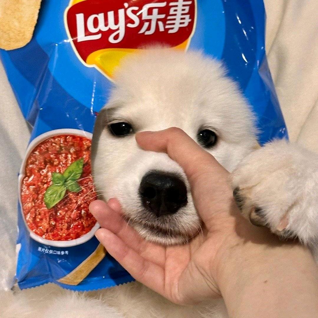 太阳不睡我催它睡