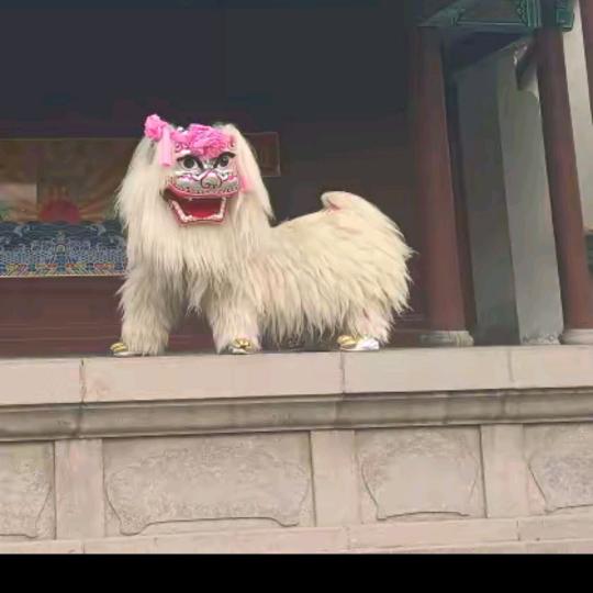 土家山妞打锣鼓军乐吊孝小白狮红白喜事一条