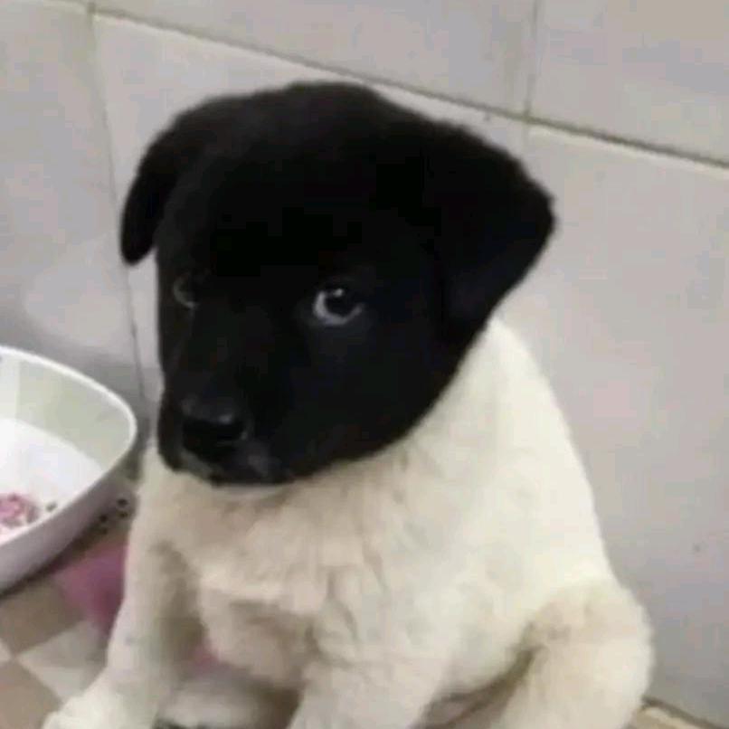 重生之我在长治修瓷砖