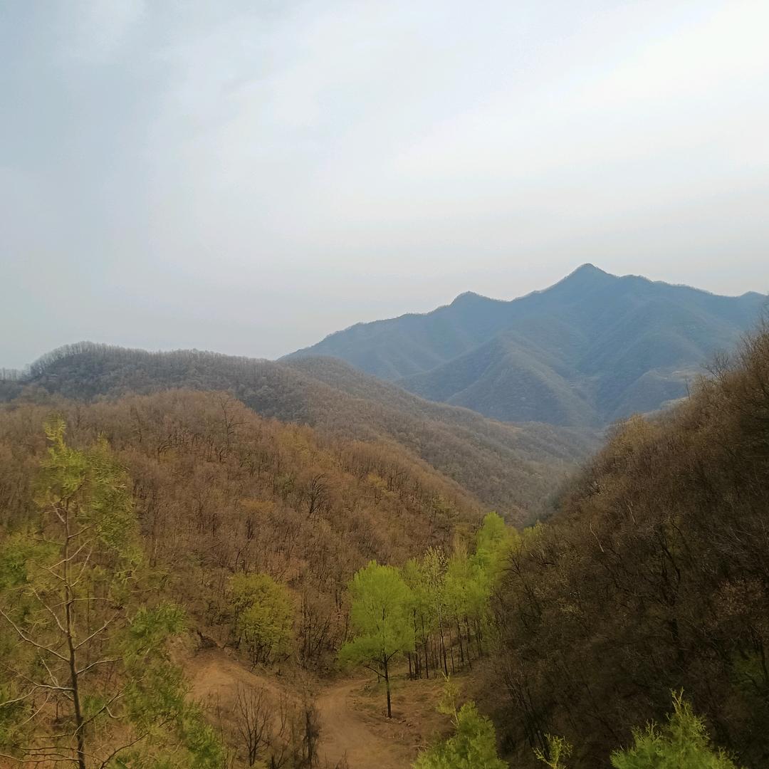 淘宝小王子