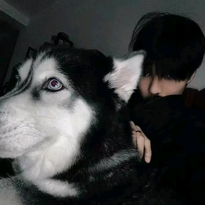 卿鹤