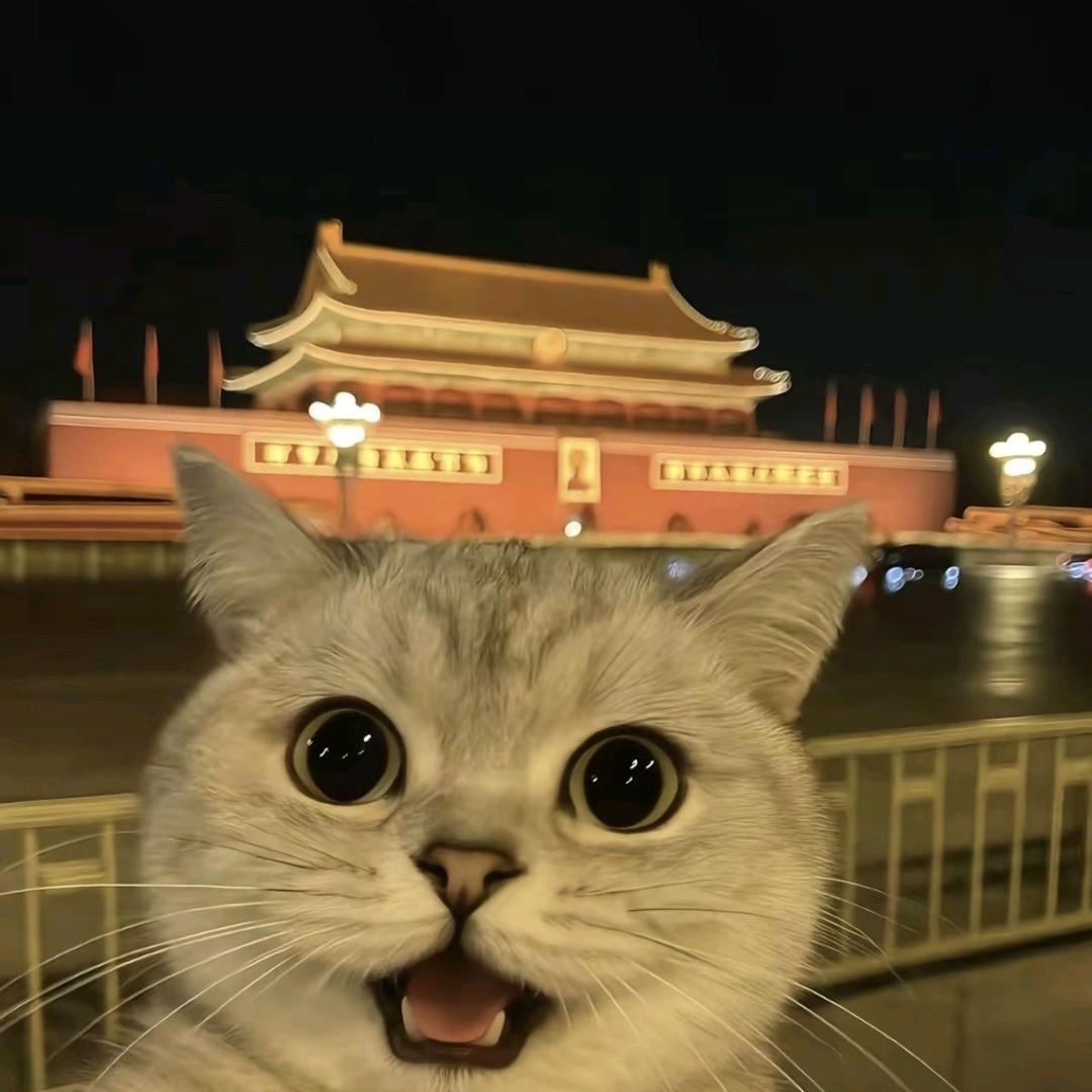 木子有鱼汤