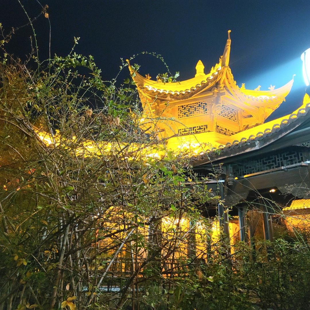 卫什么