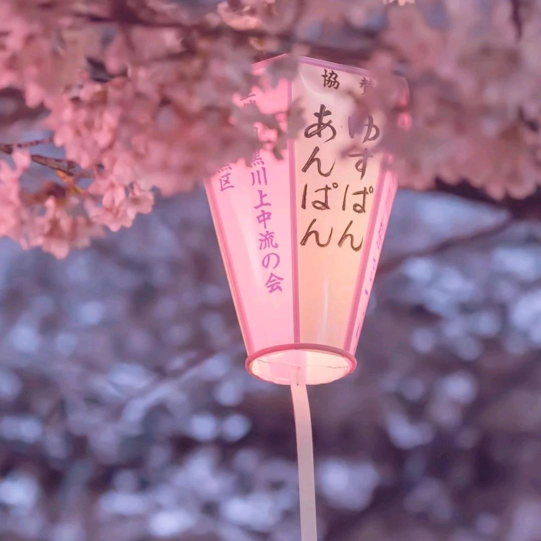 悦夕情感