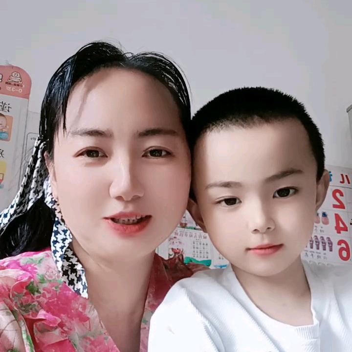 燕子红娘2号
