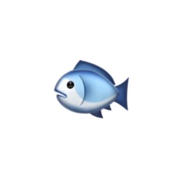 酥鱼鱼🐟.